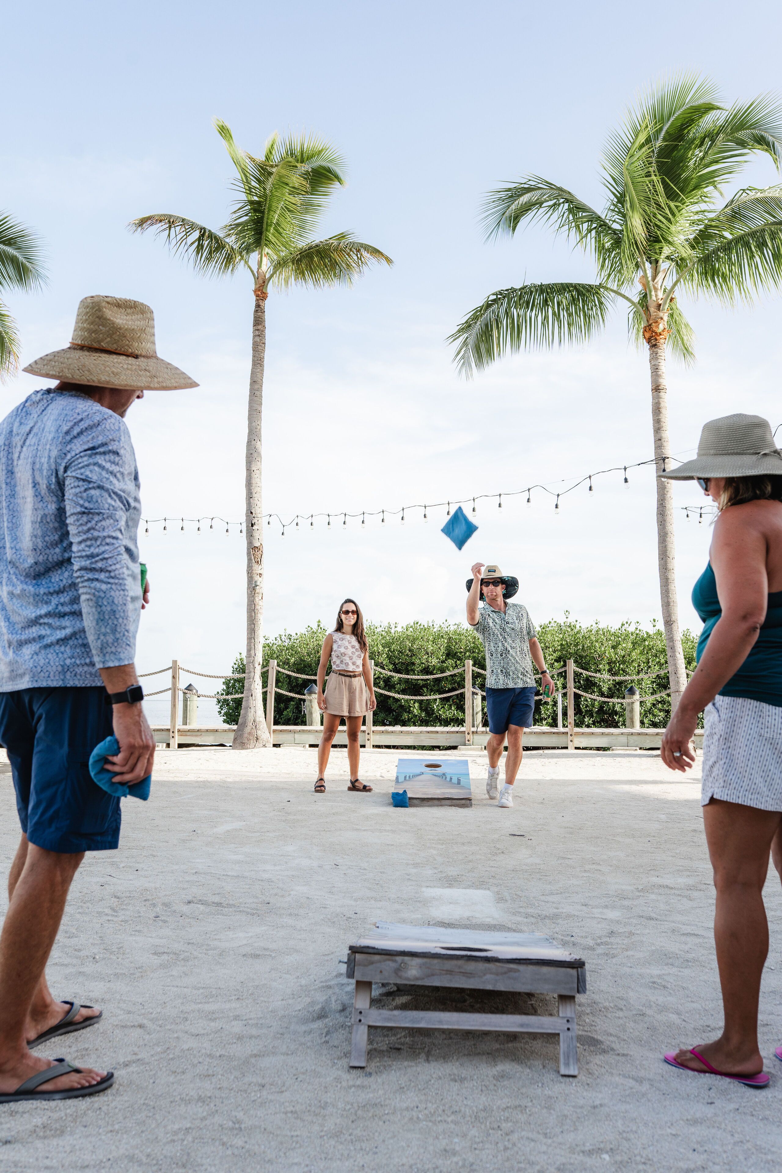 A beach setting with palm trees, a wooden bench, and string lights.