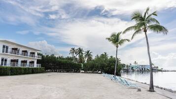 Un hotel frente a la playa con una arena dorada, palmeras y una zona de piscina.