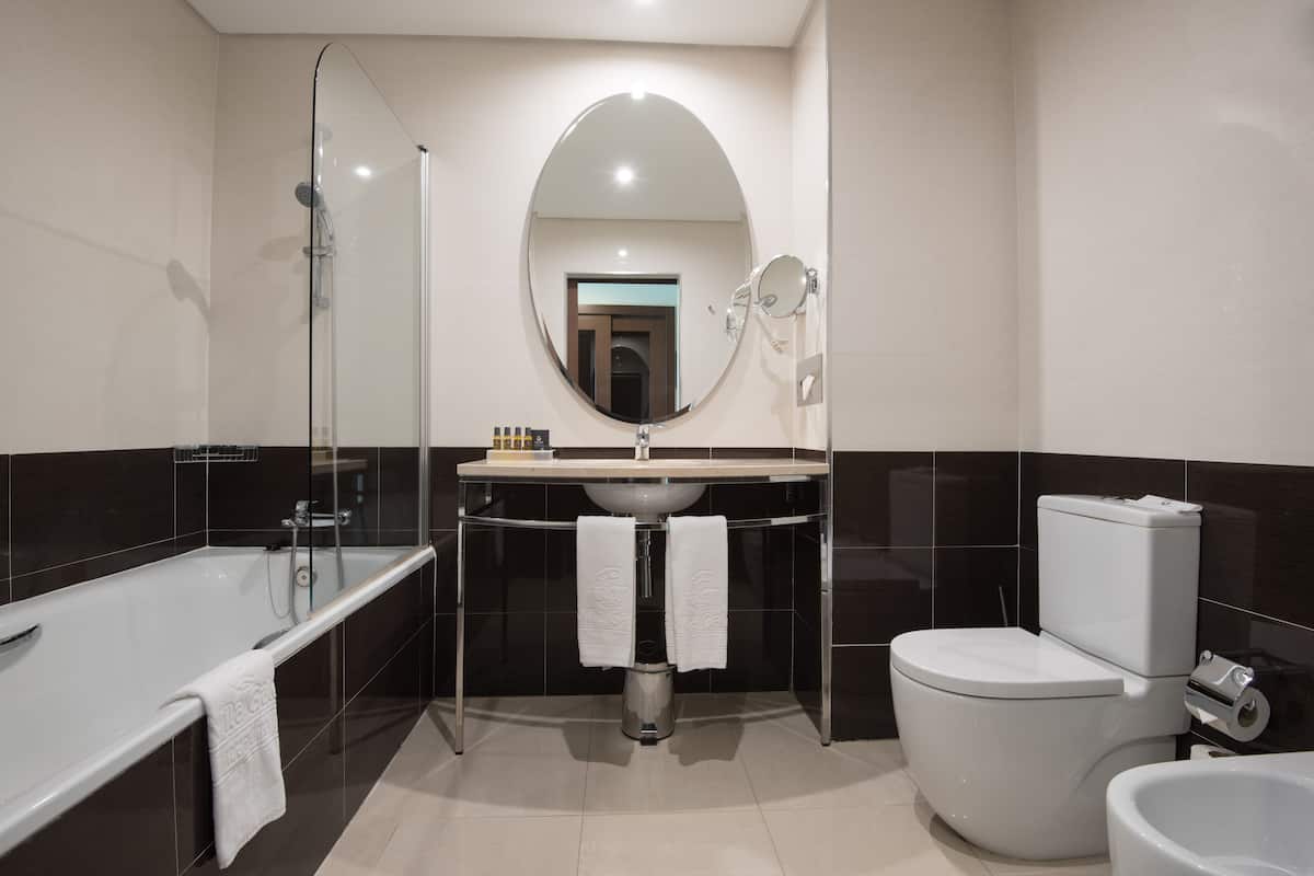 combined shower/bathtub, free toiletries, hair dryer, towels