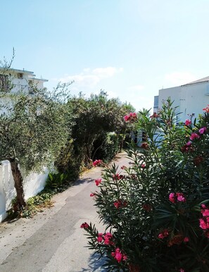 Standard Studio, Balcony | View from room