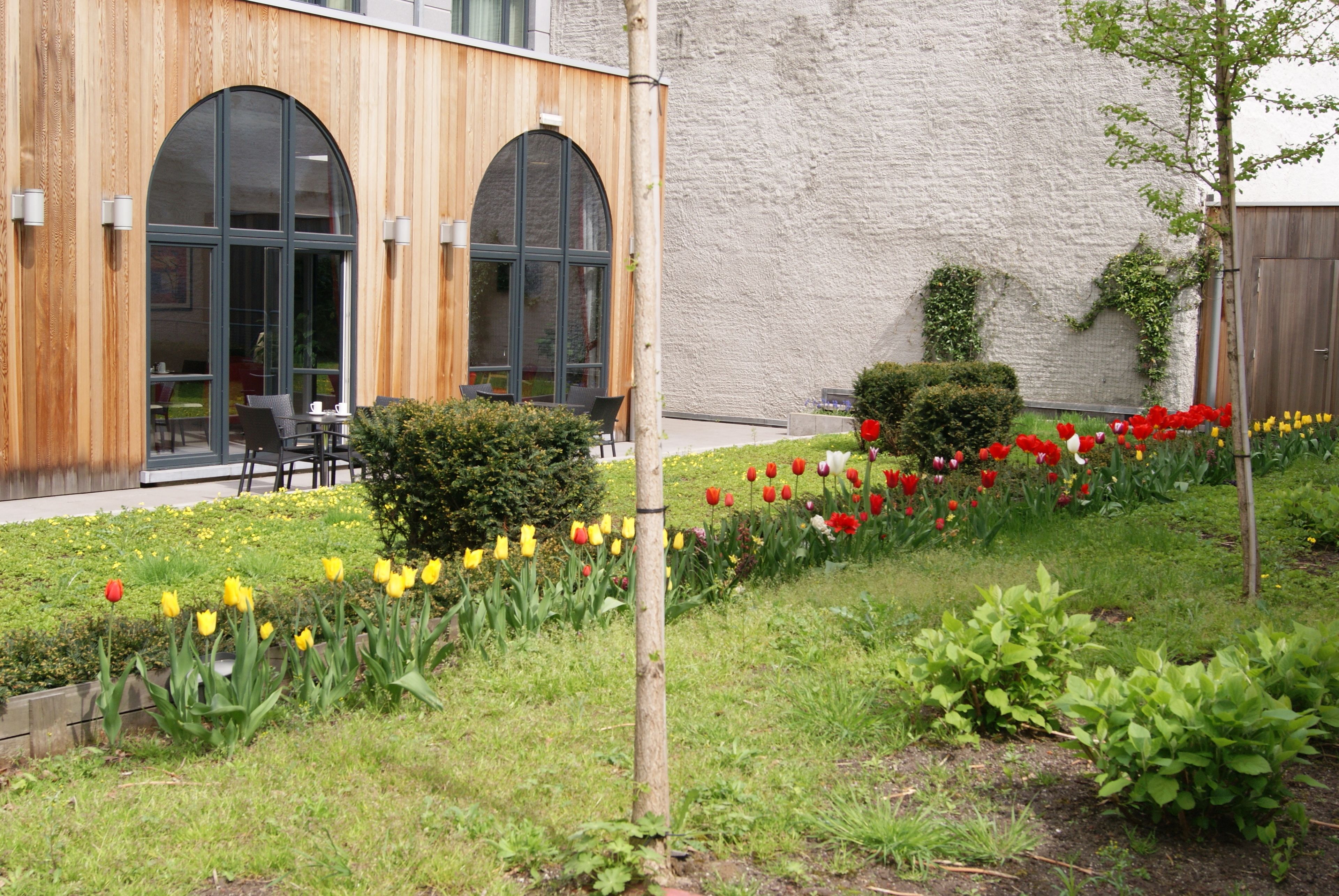 A building with wooden paneling and large arched windows, a garden with a variety of tulips, and a small tree.