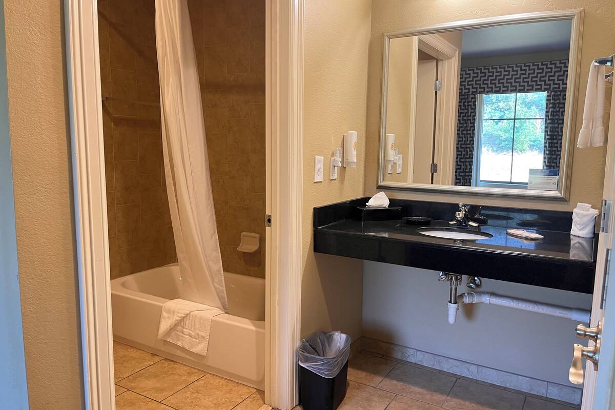 suite, 1 king bed with sofa bed, non smoking | bathroom | hair dryer, towels