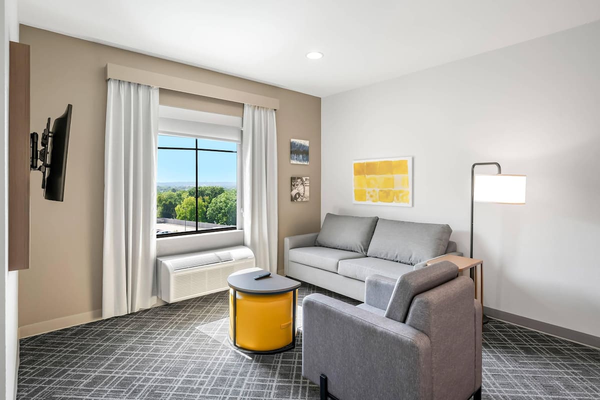 Suite, 1 King Bed with Sofa bed, Non Smoking
