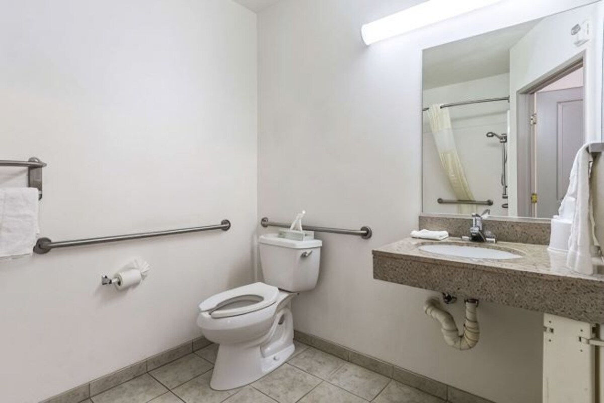 A bathroom with a toilet, handrails, a sink, a mirror, and a shower area.