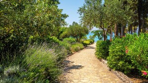 A stone pathway flanked by lush greenery and trees, leading towards a distant view. - Aminess Vival Velaris Resort  (Supetar)