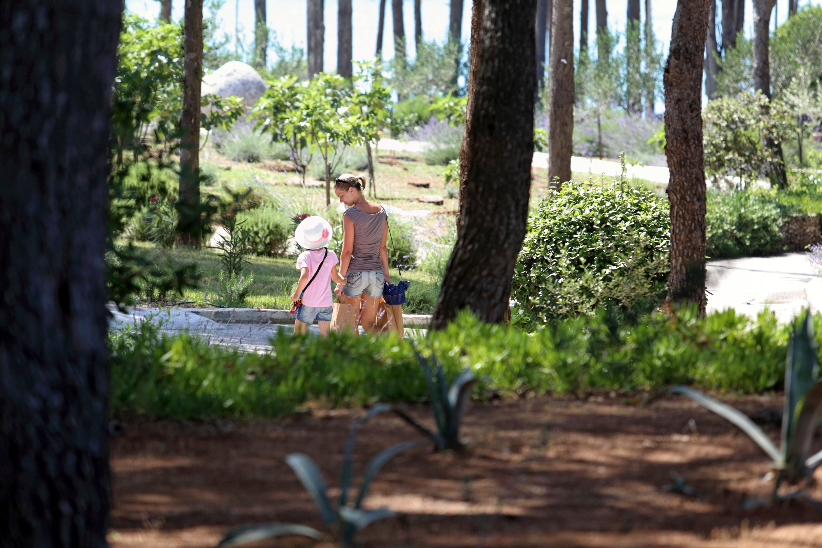 A forested area with a dirt path and greenery.