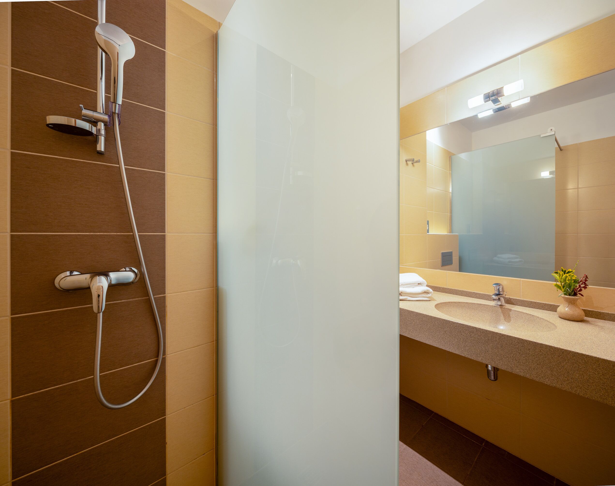 A modern bathroom with a shower, a sink, and a mirror.
