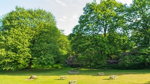 A park with picnic tables and lush green trees. - Adamton Country House Hotel (Prestwick)