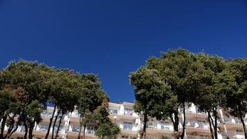 外觀