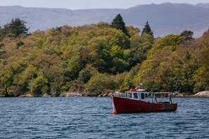 Un bote rojo anclado en aguas tranquilas, con un paisaje boscoso al fondo.