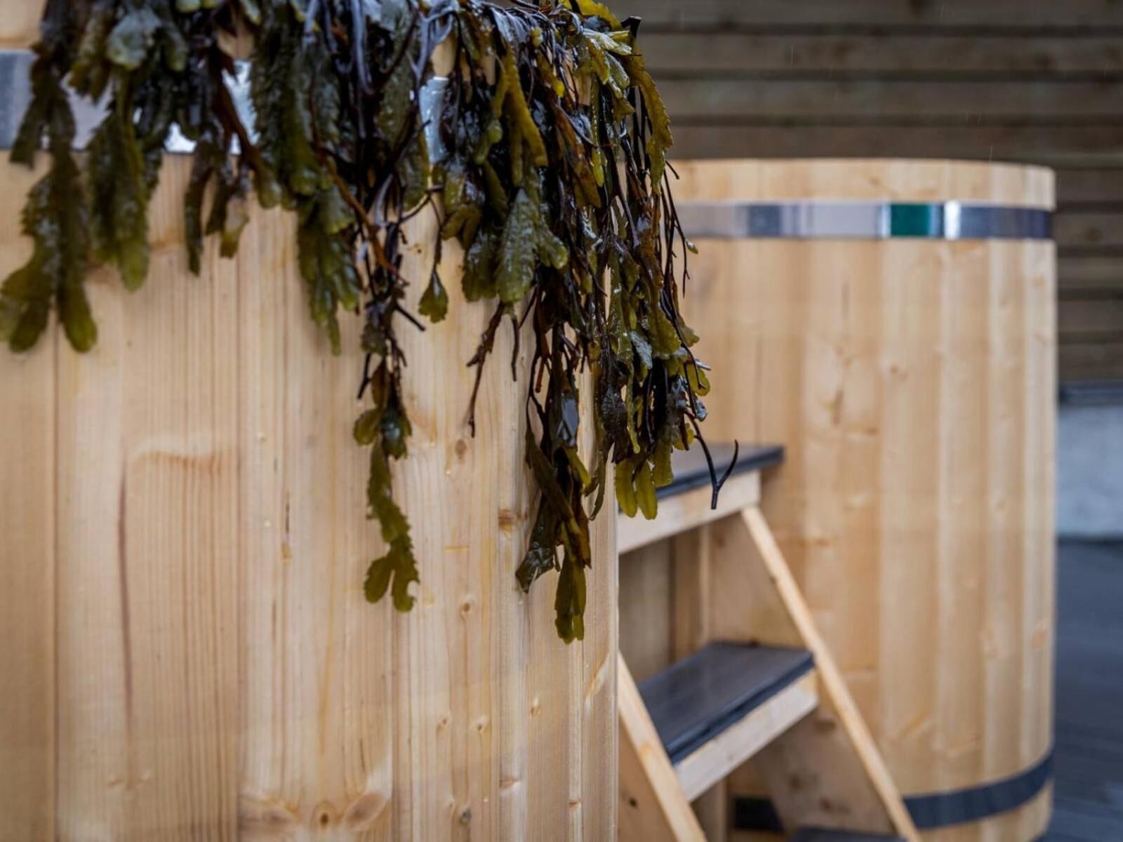 couples treatment room(s), sauna, hot tub