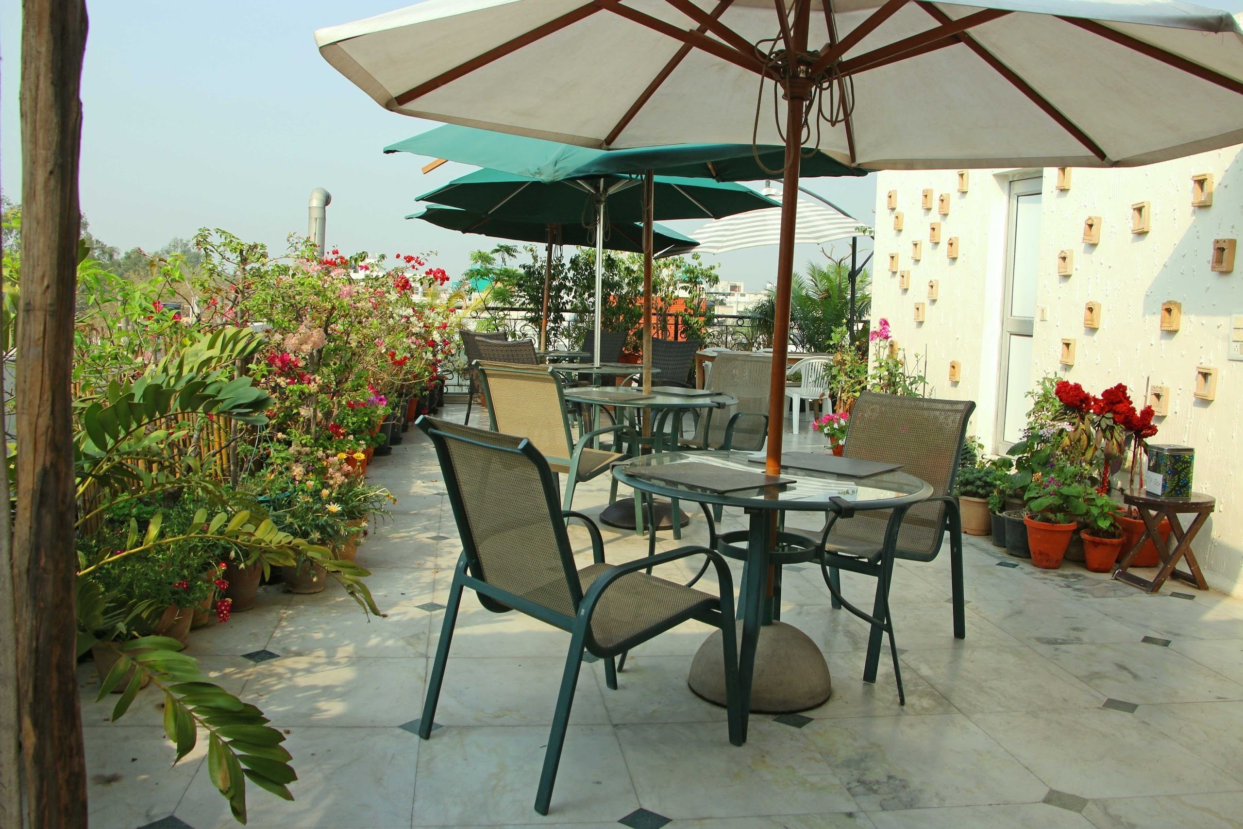 فطور مطهو حسب الطلب مجانًا