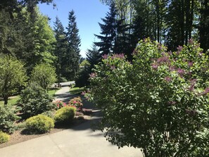 Chambre Confort, 1 grand lit, hypoallergénique, vue parc | Vue de la chambre