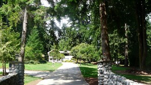 A pathway leading to a house surrounded by trees. - Maple View Bed and Breakfast (Nanaimo)