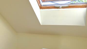 A bathroom with a skylight, toilet, wooden shelf, and a roll of toilet paper.