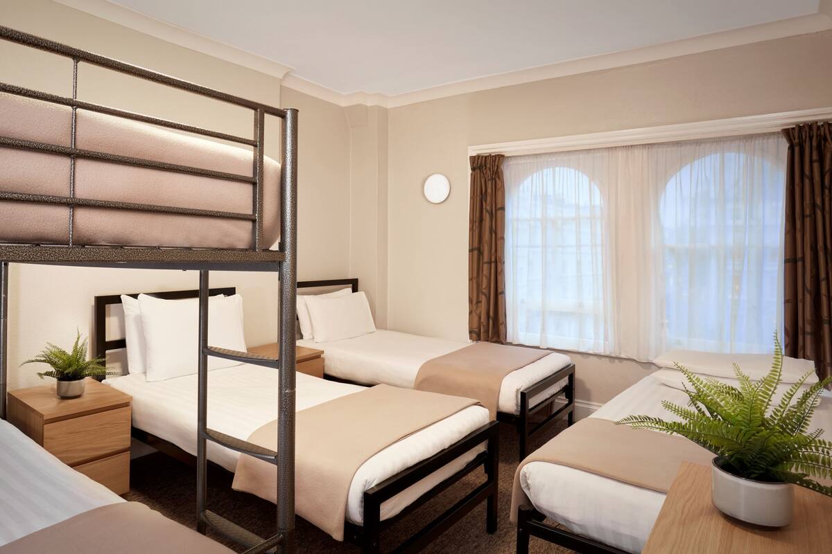 A hotel room with bunk beds, two single beds, a bedside table with a lamp, a potted plant, and a window with curtains.