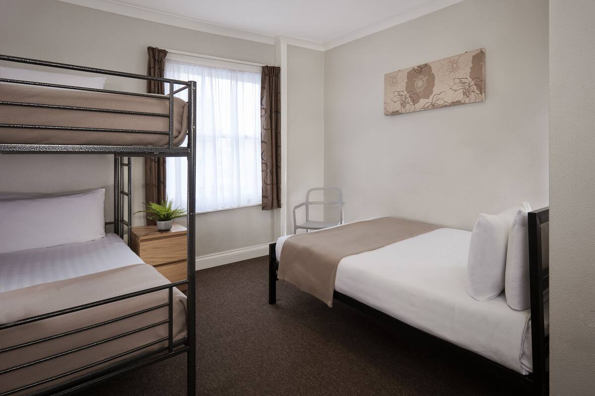 Habitación de hotel con literas, una cama individual, una pequeña mesa con una planta, una silla y un cuadro en la pared.