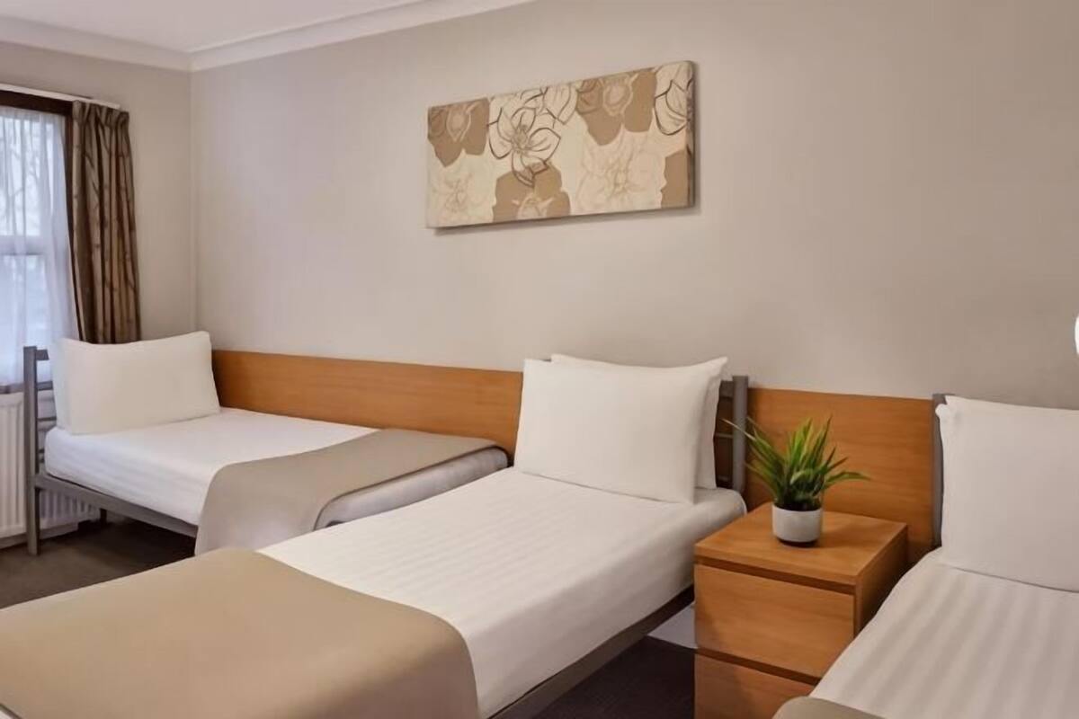 A hotel room with two single beds, a wooden headboard, a bedside table with a plant, and a wall-mounted artwork.