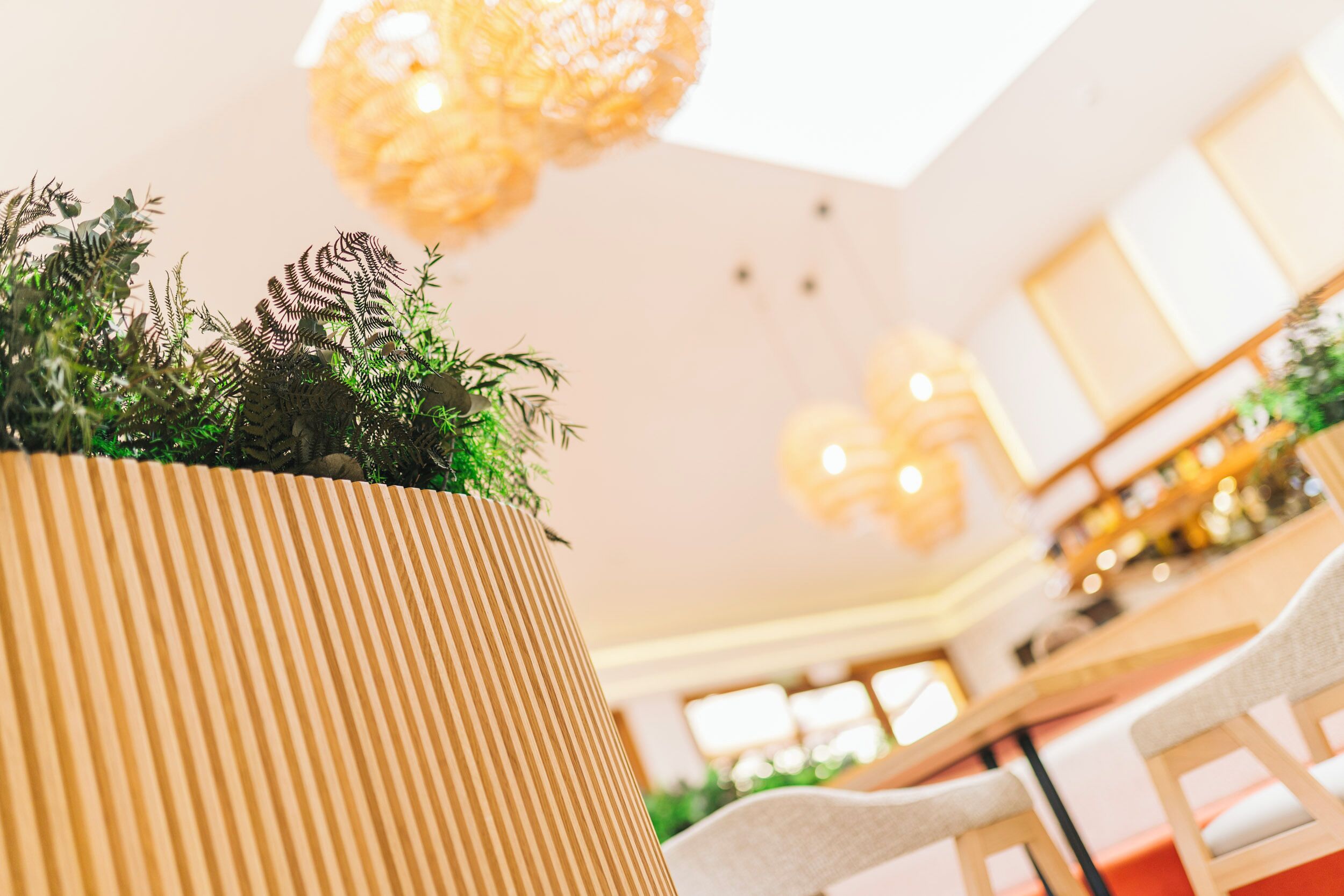 A modern interior with a potted plant, wooden furniture, and pendant lighting.
