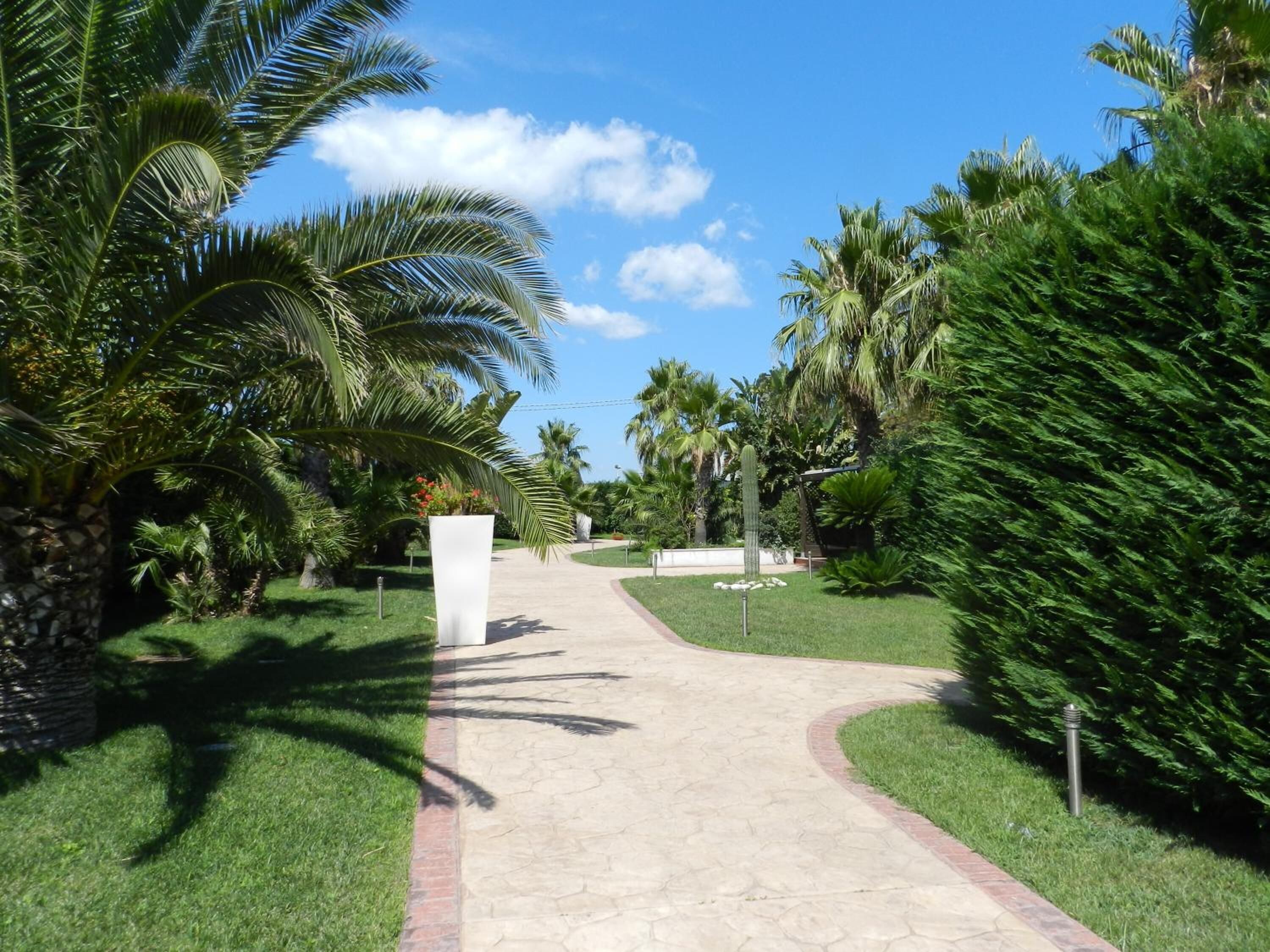 Un sendero que atraviesa un jardín ajardinado con palmeras y un cactus.