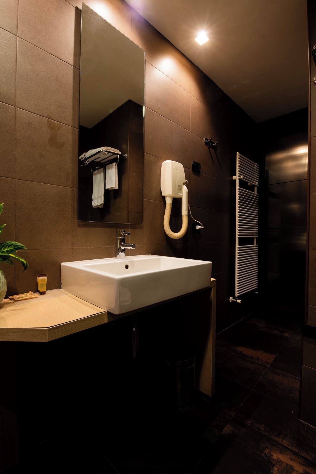 executive room | bathroom | shower, rainfall showerhead, free toiletries, hair dryer