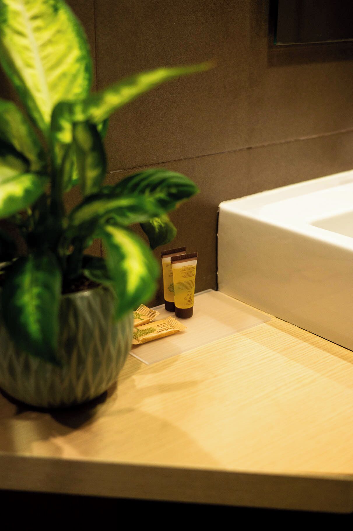 executive room | bathroom | shower, rainfall showerhead, free toiletries, hair dryer