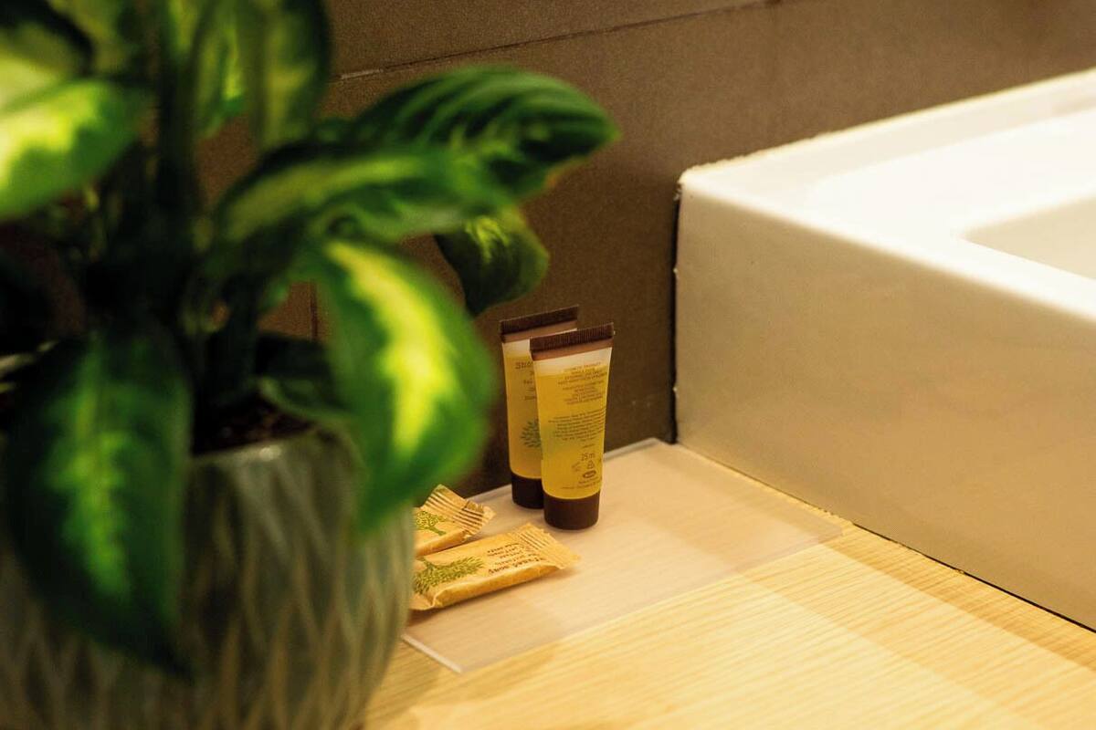 executive room | bathroom | shower, rainfall showerhead, free toiletries, hair dryer