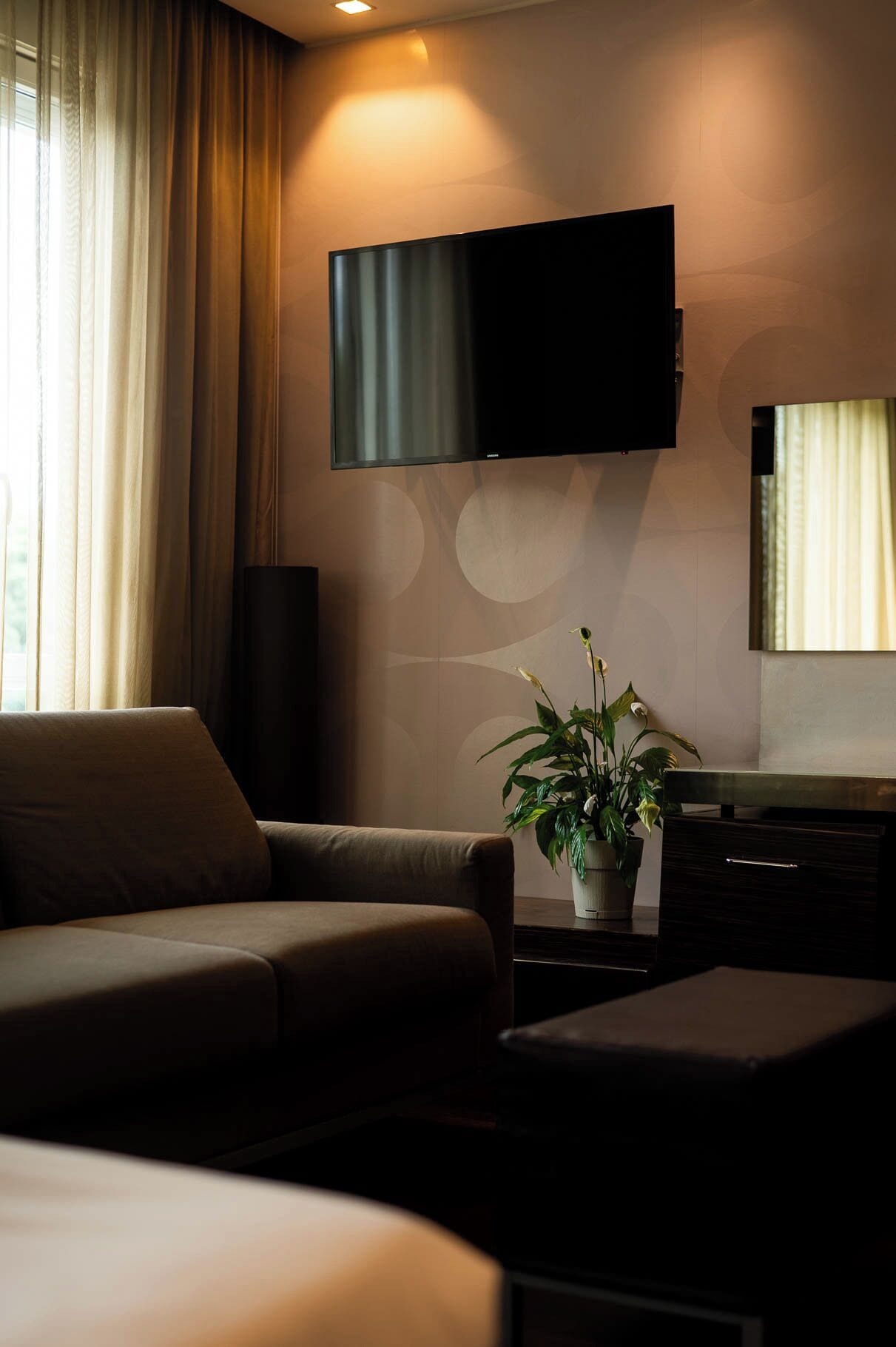 A modern living room with a sofa, a flat-screen TV mounted on the wall, a potted plant, and a small table.