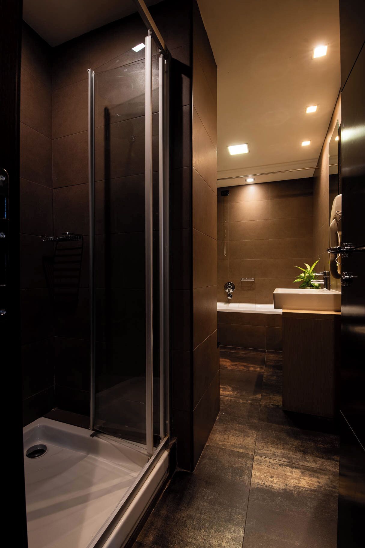 Chambre Exécutive | Salle de bain
