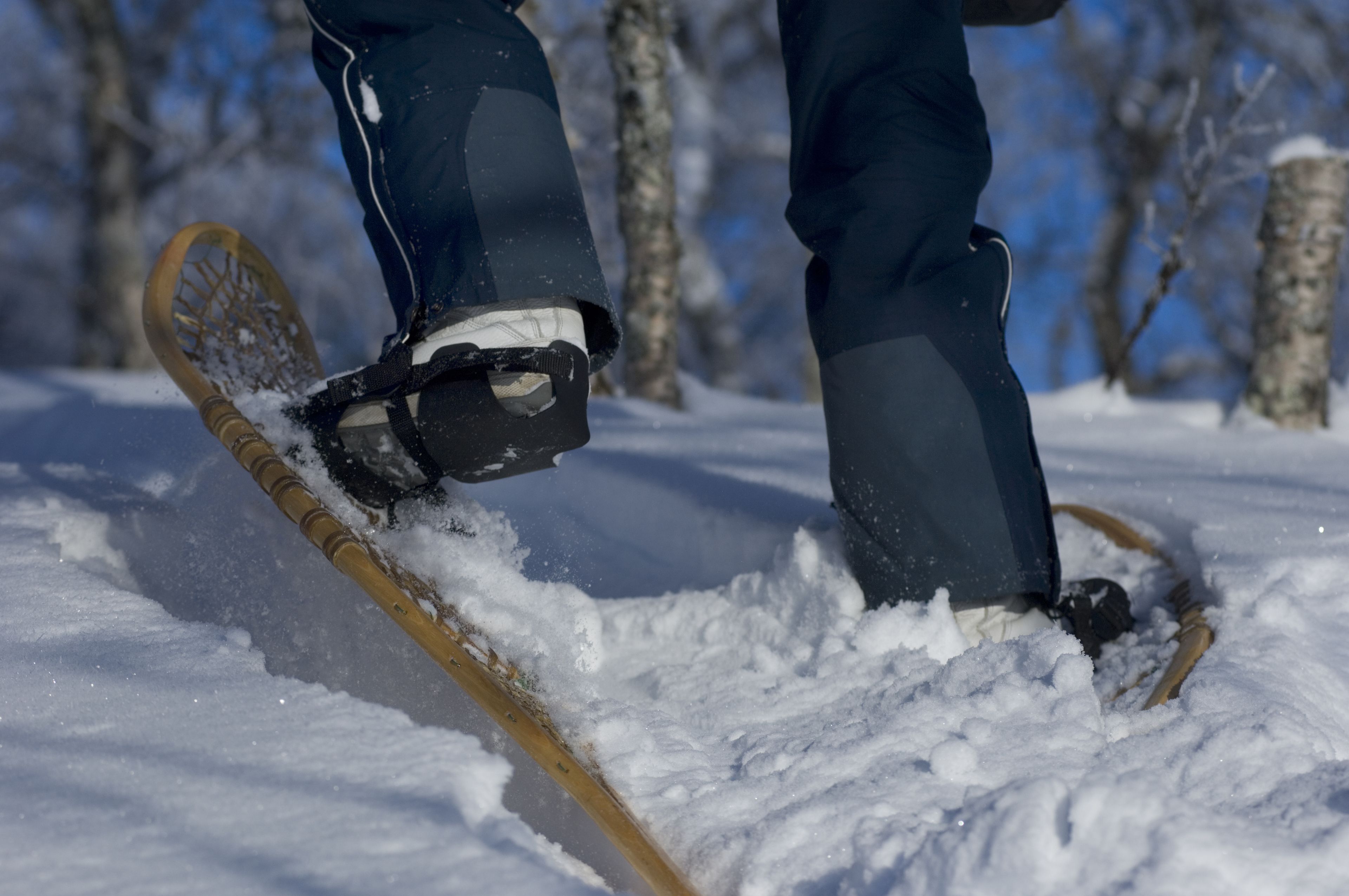 snowshoeing