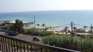 Vista desde la propiedad