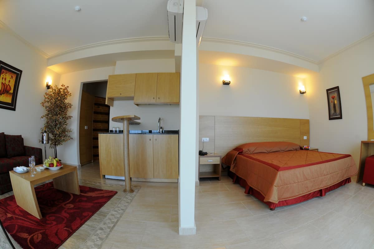 Une chambre d’hôtel compacte comprenant un lit, un petit bureau, une kitchenette et un coin salon avec un canapé et une plante.