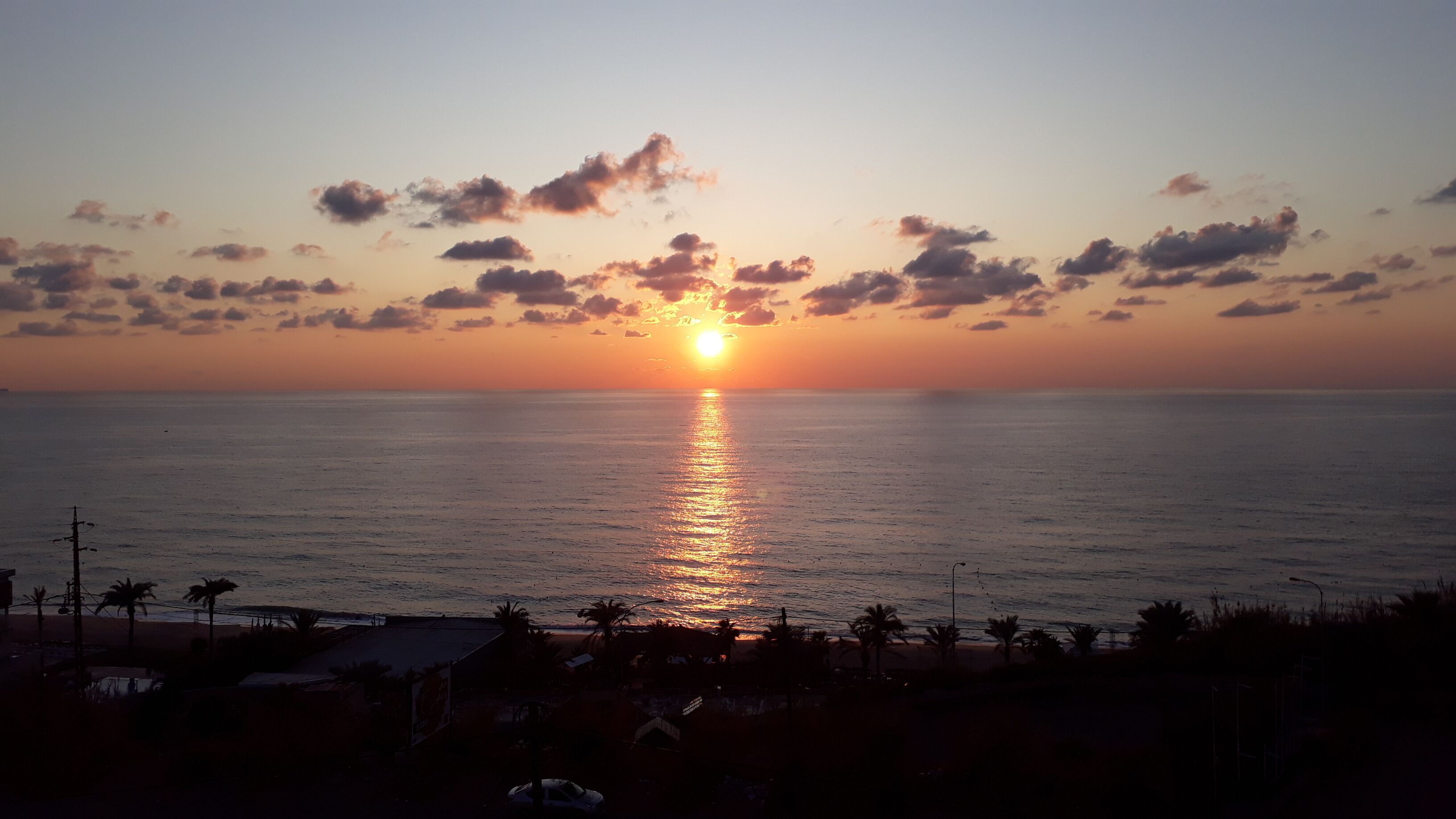 A sunset over the ocean with silhouettes of palm trees and buildings in the foreground.