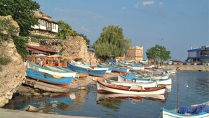 A harbor with boats docked along the shore, a building with a balcony, and a tree in the background. - New Line Village Apartments (Sunny Beach)