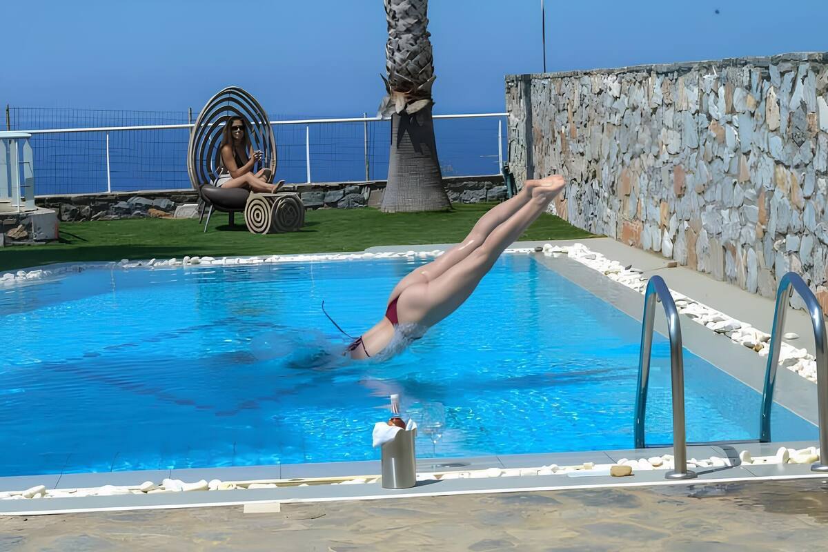 A pool with a diving board, a stone wall, and a palm tree.