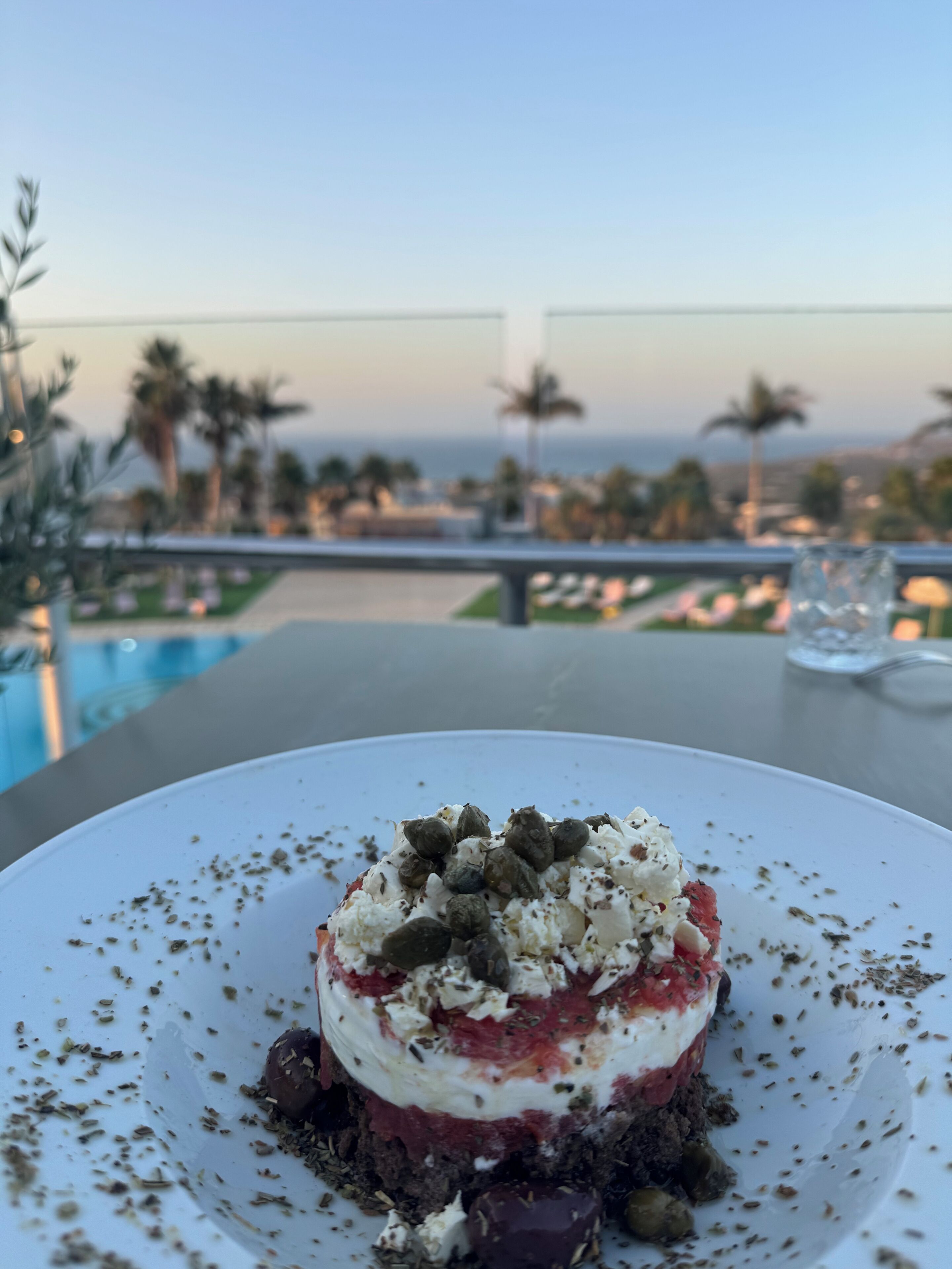 Un postre sobre un plato blanco, con una piscina y palmeras al fondo.