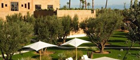 Outdoor pool, pool umbrellas, sun loungers