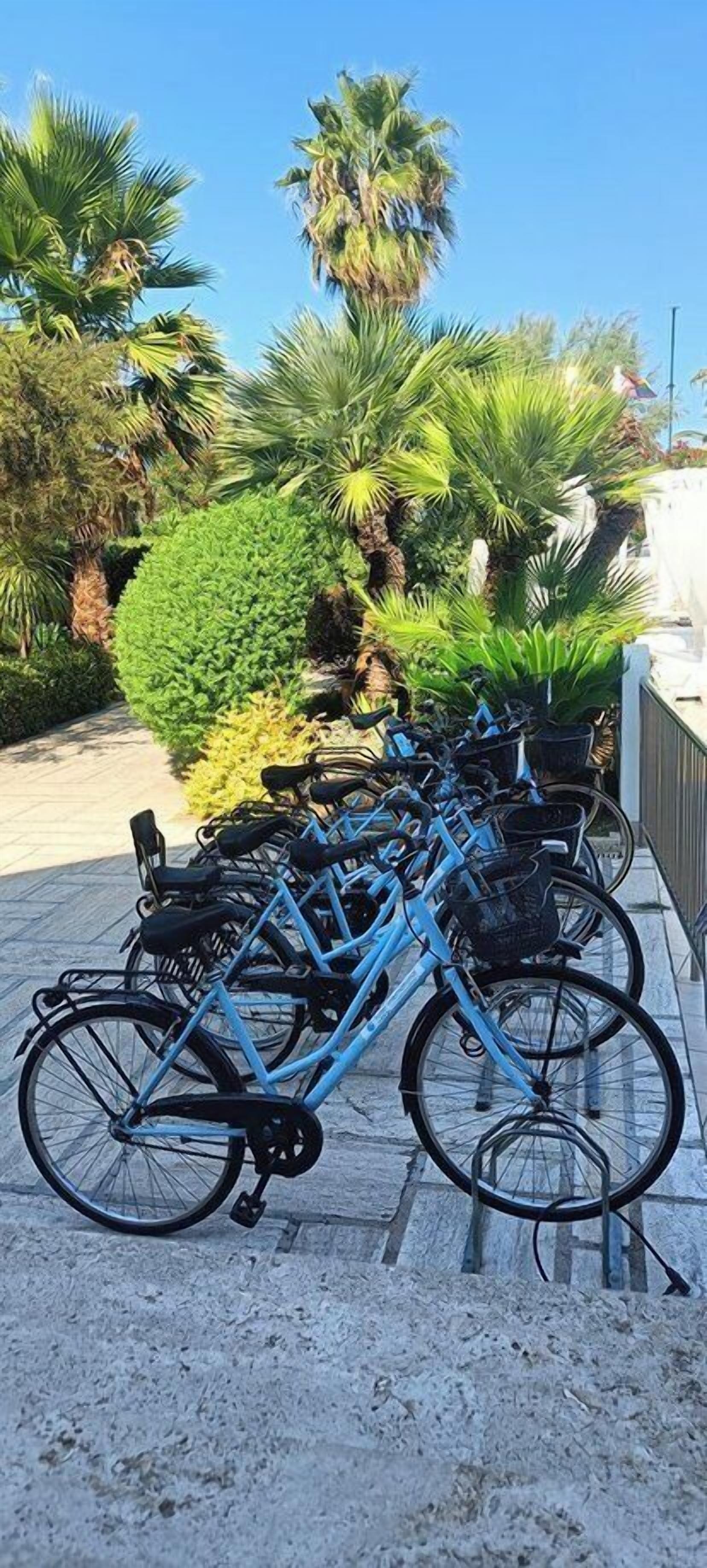 Foto - International Hotel & Suite - In prima fila sul lungomare