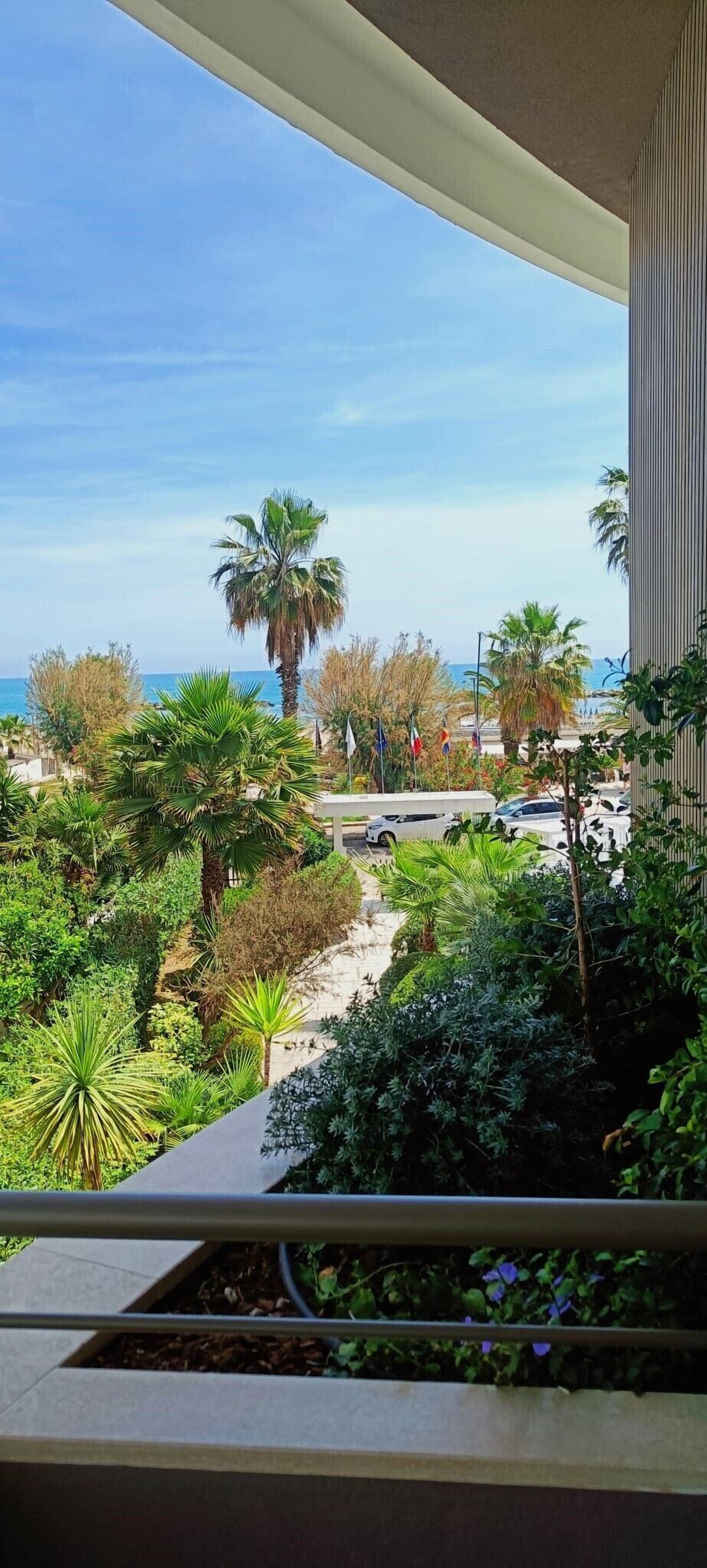 Un balcon donnant sur un jardin aménagé, des palmiers et une rue bordée de voitures garées.