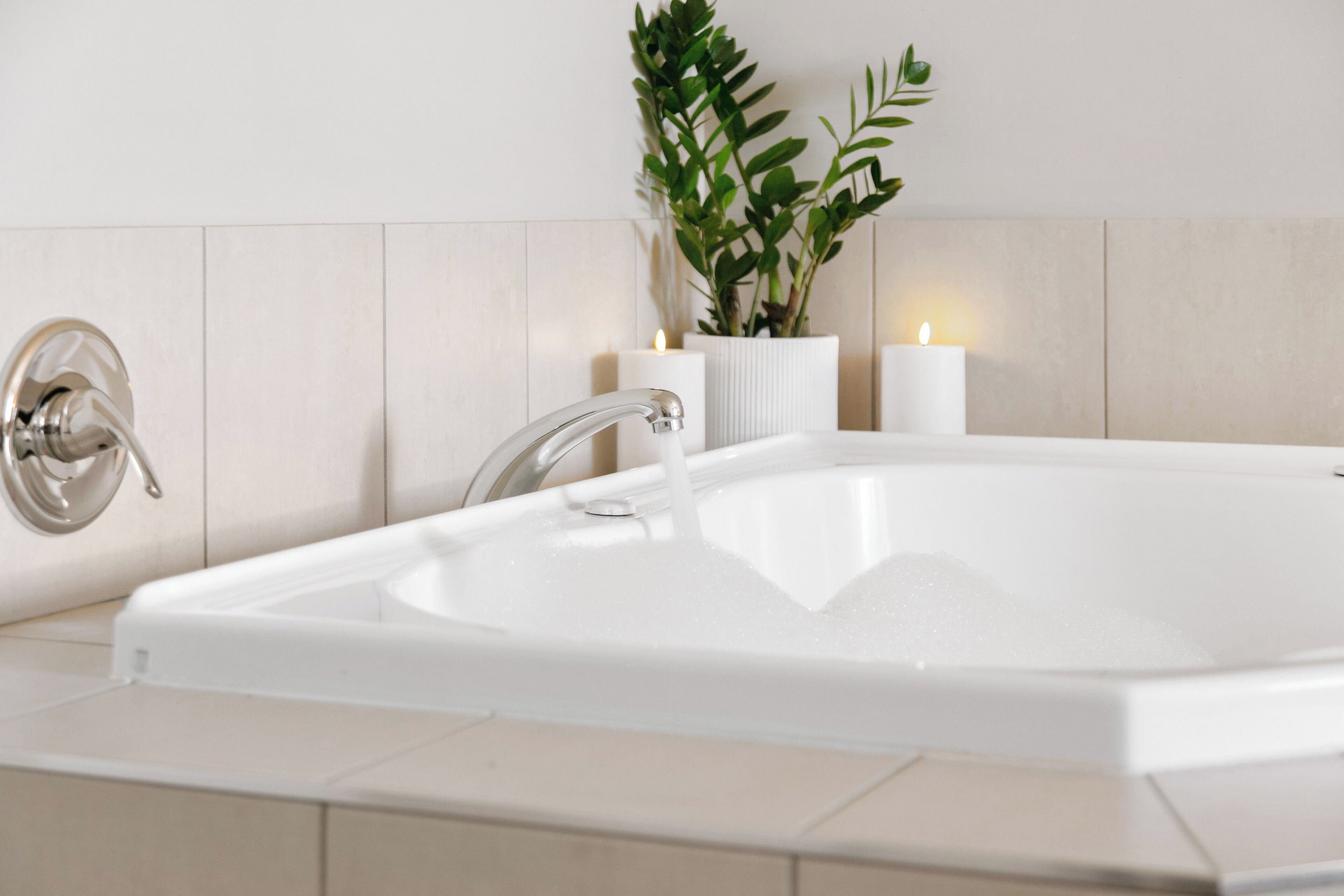 A modern bathroom with a freestanding bathtub, a wall-mounted faucet, and a potted plant.