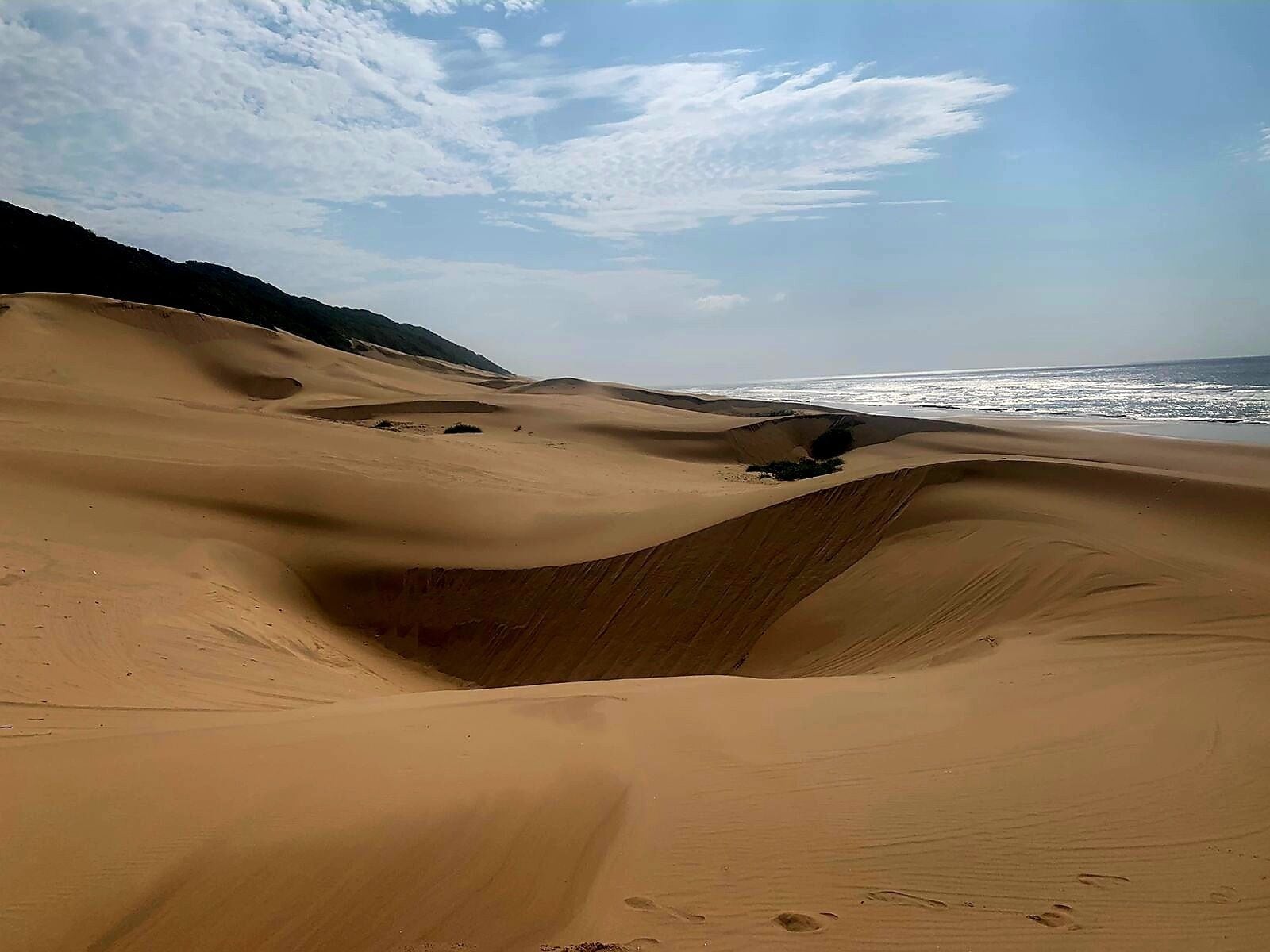 A desert landscape with sand dunes and a beach.
