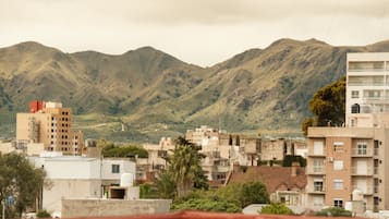 Vista desde la propiedad