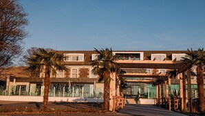 Un bâtiment moderne doté d’une entrée couverte, de palmiers et surplombant un ciel dégagé.
