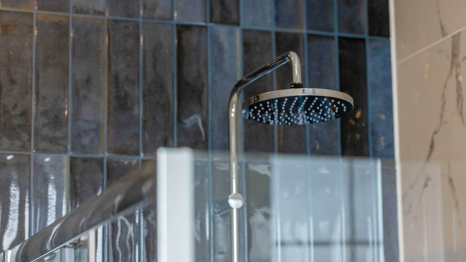 executive room | bathroom | shower, hair dryer, towels