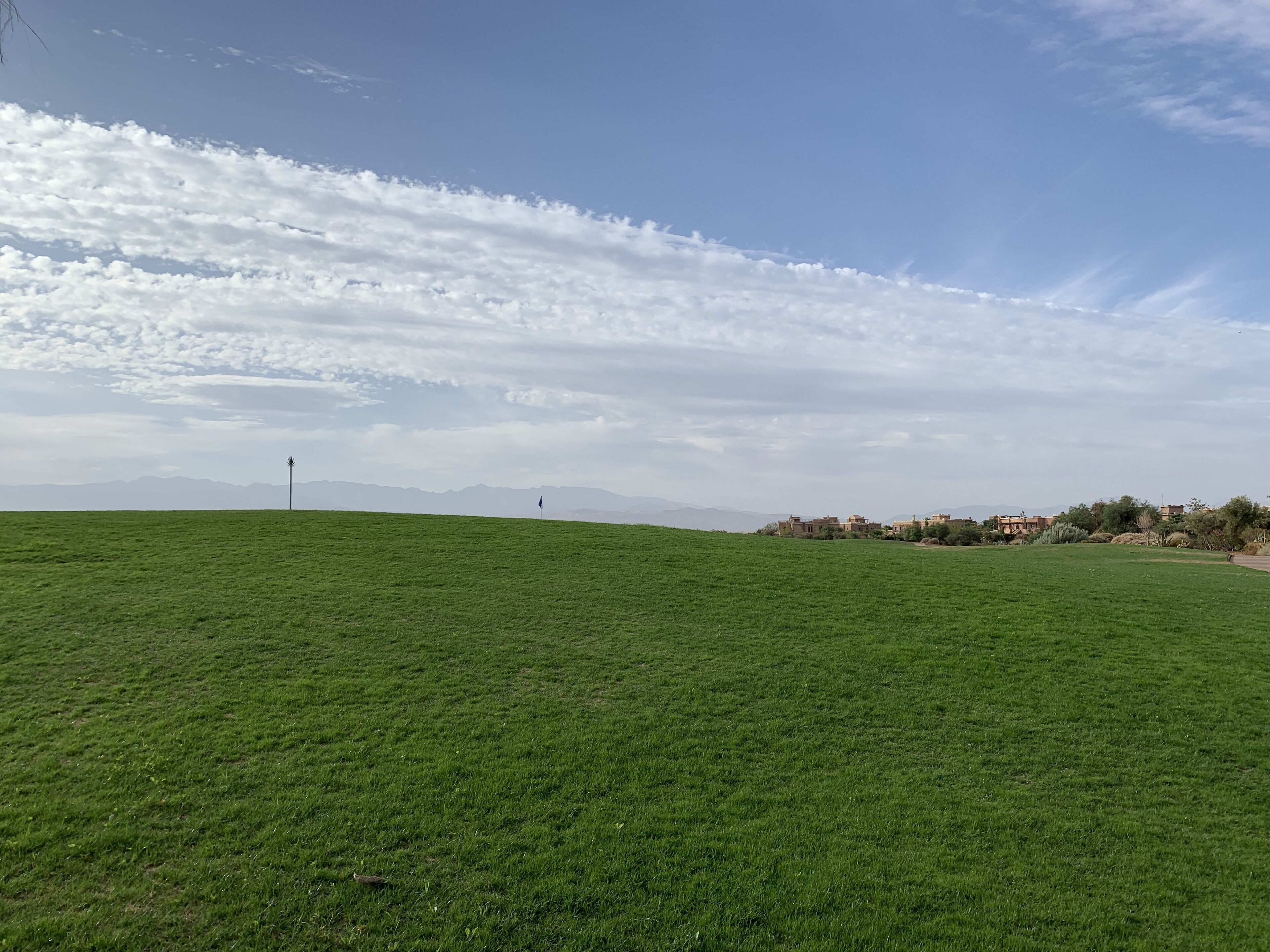 A grassy field with a clear sky and distant mountains.