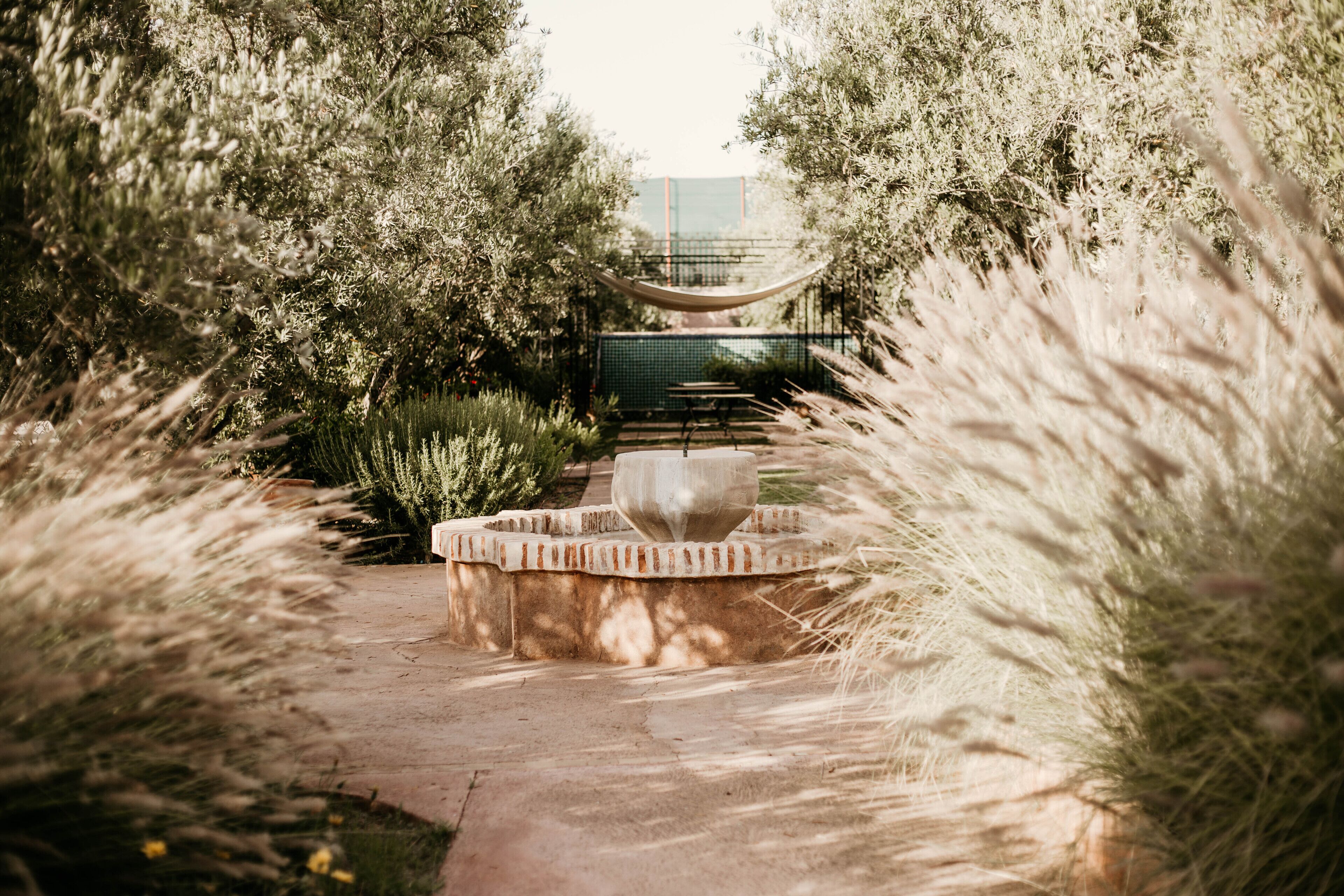 Jardín