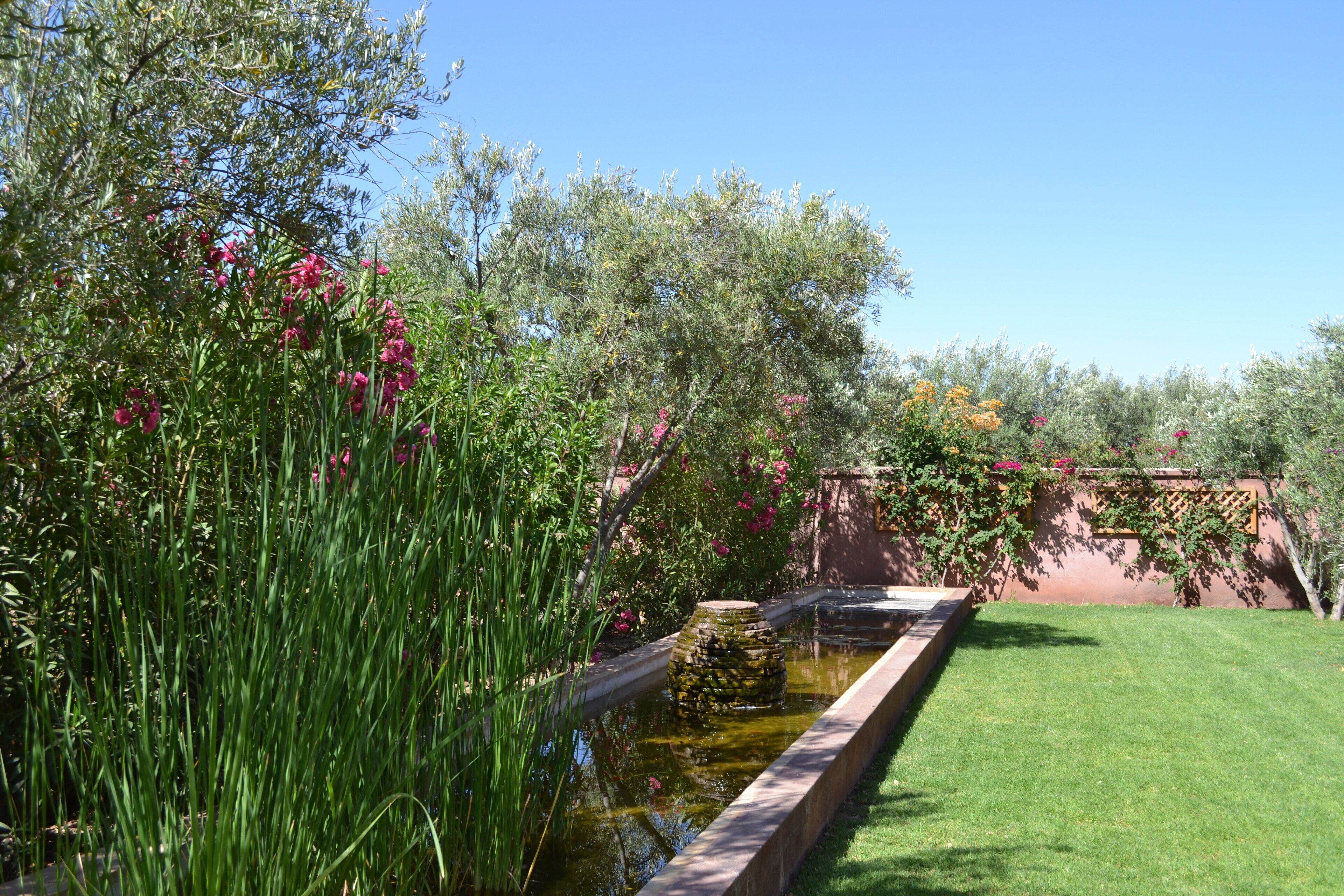 Superior-Zimmer, 1 Schlafzimmer, Gartenblick (Hôtel) | Blick auf den Garten