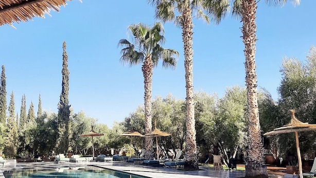 Une piscine avec des chaises longues et des palmiers.