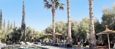 Een buitenzwembad, gratis zwembadcabana's en parasols bij het zwembad