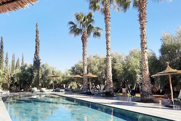 Outdoor pool, open 8:00 AM to 8:00 PM, free cabanas, pool umbrellas